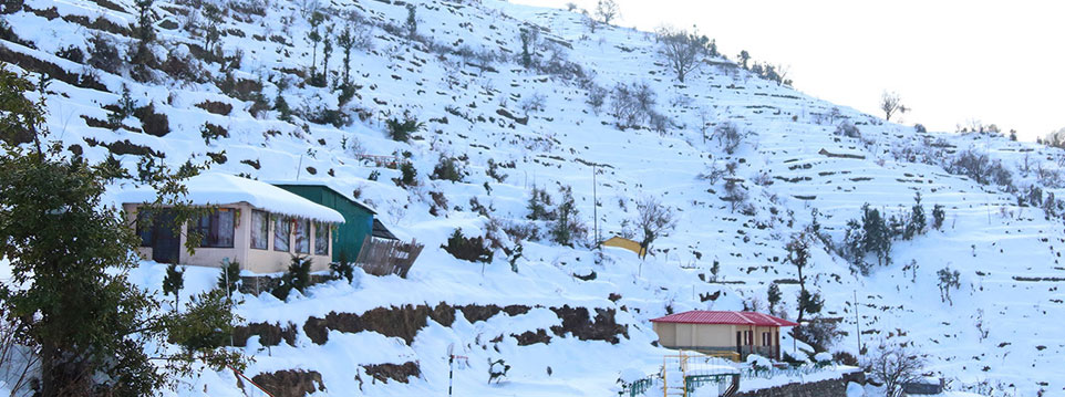 Perfect Summer Holiday Itinerary with Dehradun, Rajaji, Mussoorie & Rishikesh